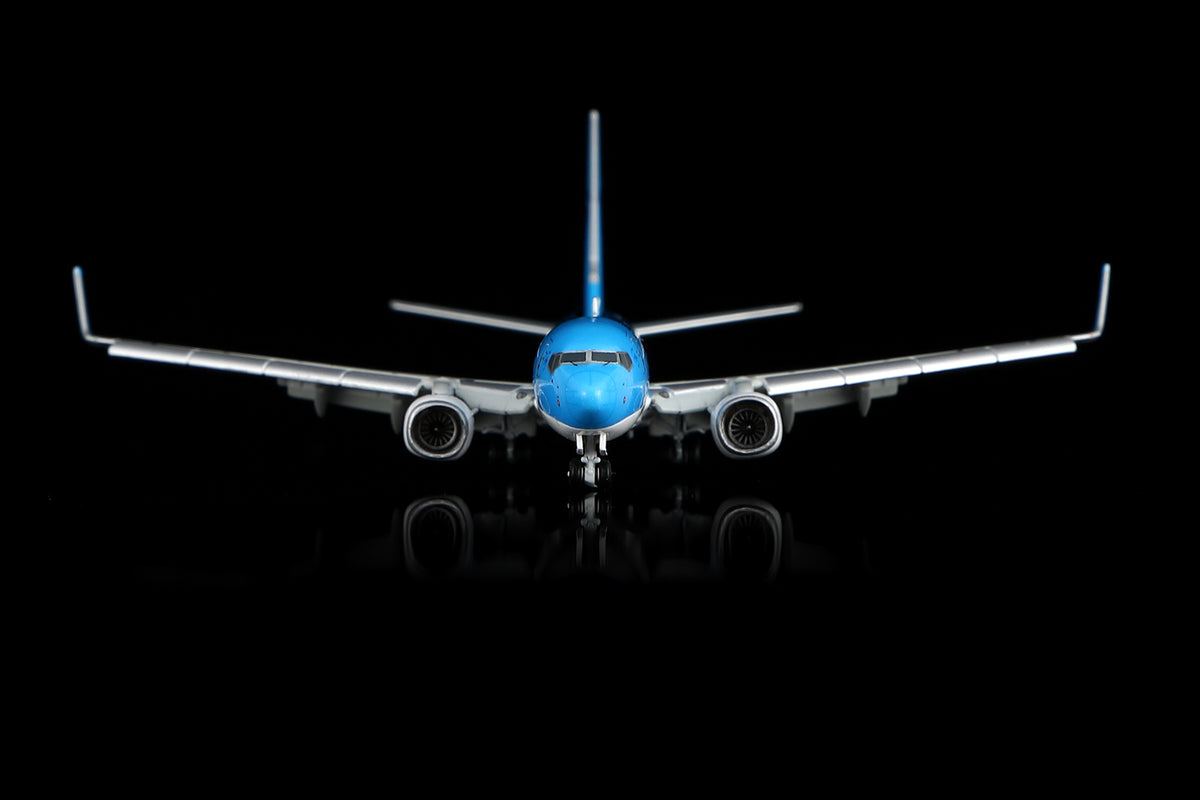 1/400 KOREAN Air "New Colors"B737-900 HL8248 B470401 - image 8