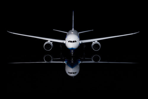 Xiamen Airlines B787-8 B-2769 diecast aircraft model