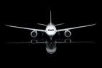 1/200 All Nippon Airways B787-8 JA801A L2099 - image 7