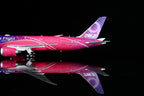1/200 Boeing 787-9 Dreamliner Boeing Company "Dreams Take Flight" N1015B L2128 - image 7
