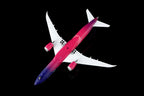 1/200 Boeing 787-9 Dreamliner Boeing Company "Dreams Take Flight" N1015B L2128 - image 8