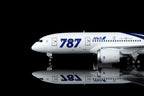 1/200 All Nippon Airways B787-8 Dreamliner JA801A L2134 - image 3