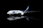 1/200 All Nippon Airways B787-8 Dreamliner JA801A L2134 - image 5
