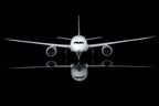 1/200 All Nippon Airways B787-8 Dreamliner JA801A L2134 - image 7