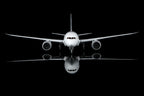 1/200 All Nippon Airways B787-8 Dreamliner JA802A L2135 - image 3