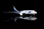 1/200 All Nippon Airways B787-8 Dreamliner JA802A L2135 - image 4