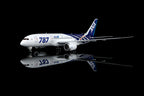 1/200 All Nippon Airways B787-8 Dreamliner JA802A L2135 - image 5