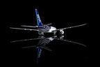 1/200 All Nippon Airways B787-8 Dreamliner JA802A L2135 - image 10