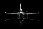 1/200 American Airlines MD-11 N1766A L2227 / L2227FD - image 10