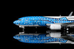 1/200 Japan Transocean Air B737-800 JA05RK L2348 / L2348FD - image 8