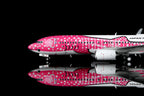 1/200 Japan Transocean Air B737-800 JA06RK L2349 / L2349FD - image 5